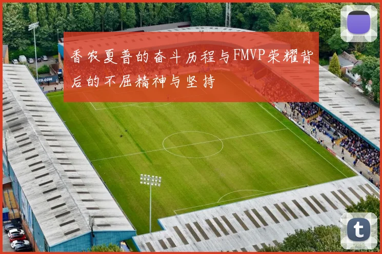 香农夏普的奋斗历程与FMVP荣耀背后的不屈精神与坚持