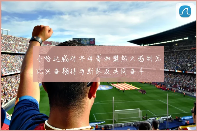 小哈达威对字母哥加盟热火感到无比兴奋期待与新队友共同奋斗