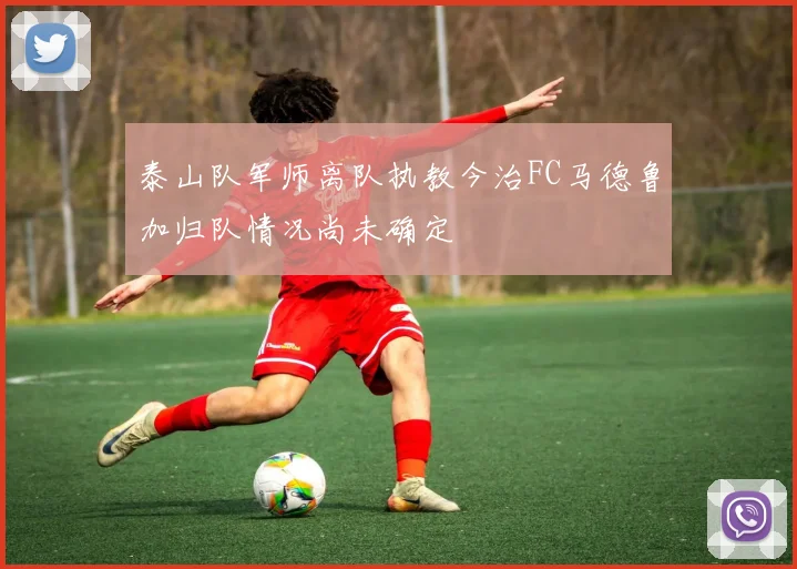 泰山队军师离队执教今治FC马德鲁加归队情况尚未确定